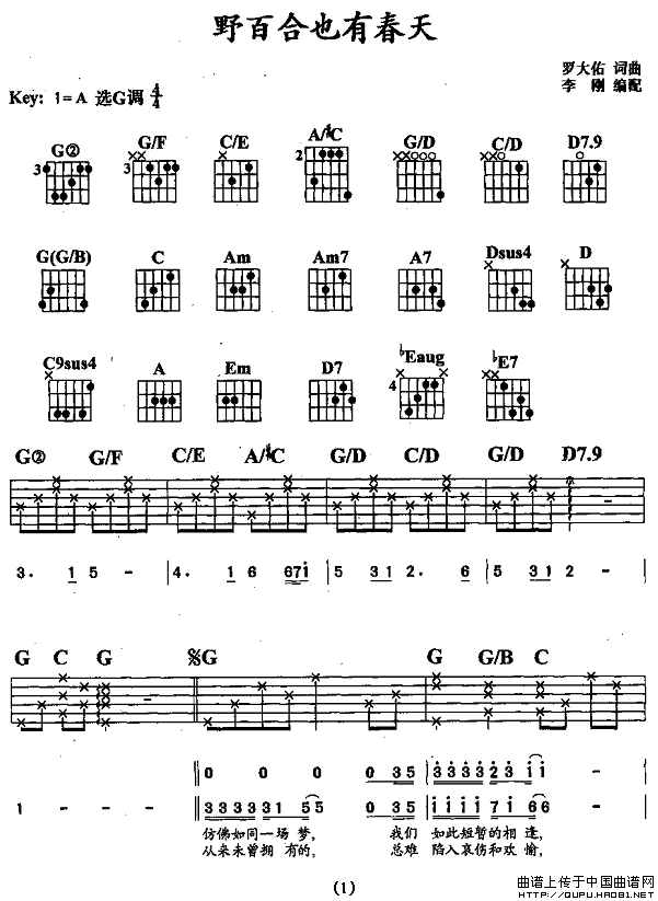 野百合也有春天 吉他谱 - 第1张