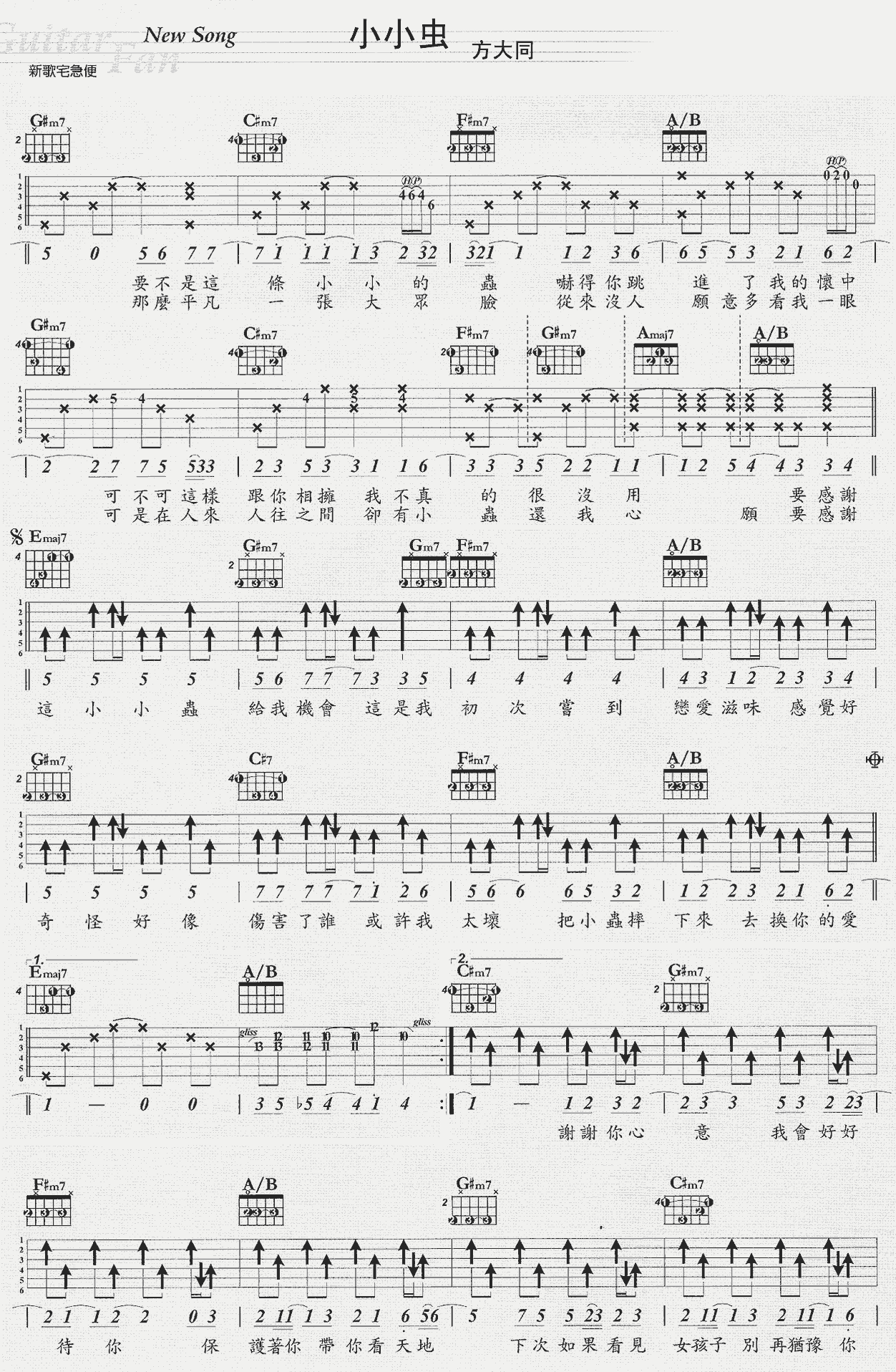 小小虫 吉他谱 - 第1张
