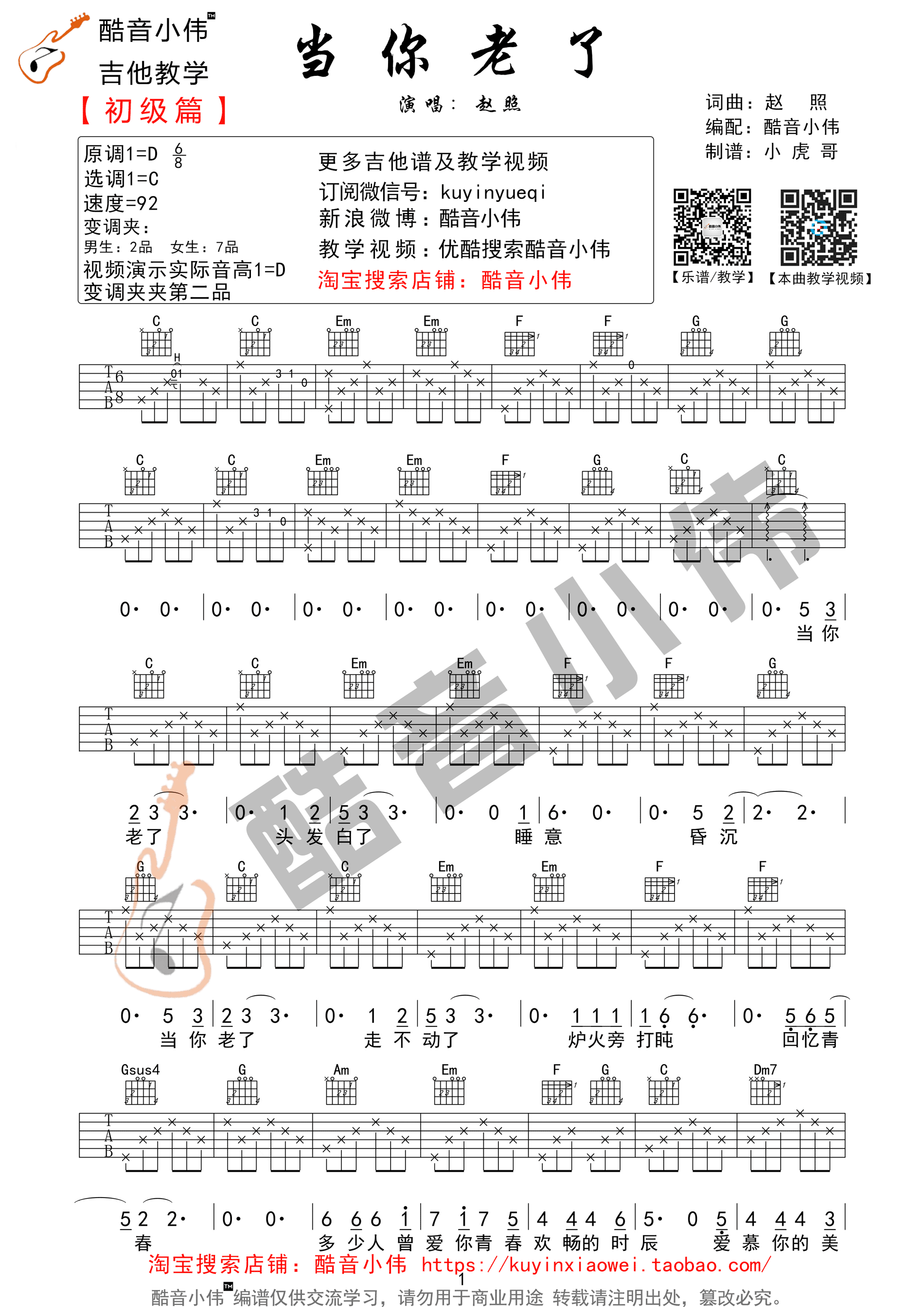 当你老了（C调初级篇） - 第1张