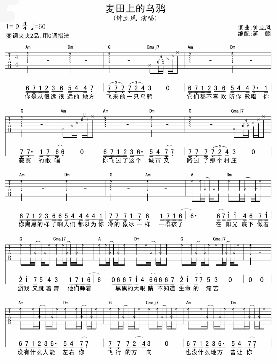 麦田上的乌鸦 吉他谱 - 第1张