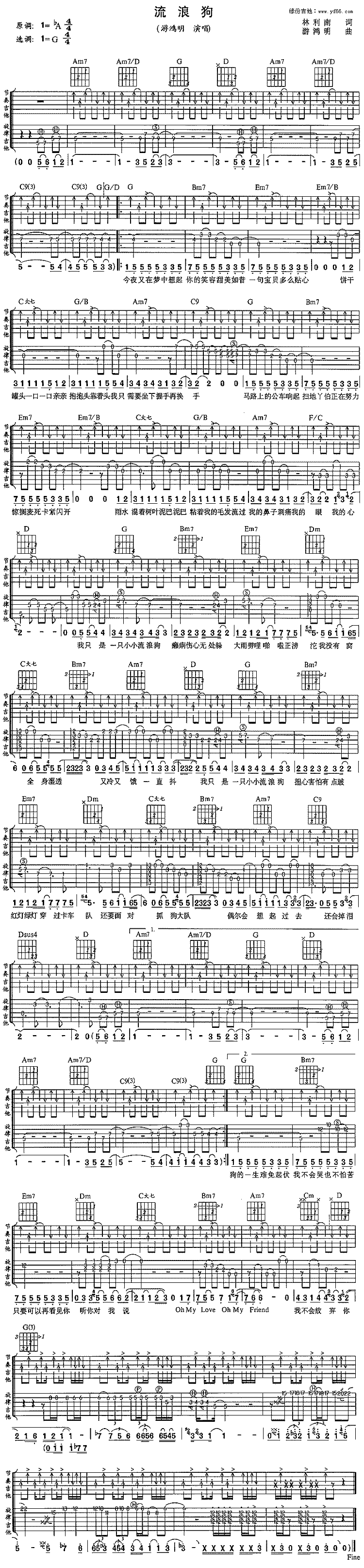 流浪狗 吉他谱 - 第1张