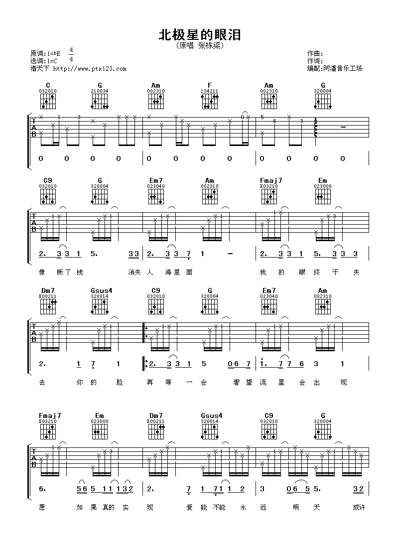 北极星的眼泪 吉他谱 - 第1张