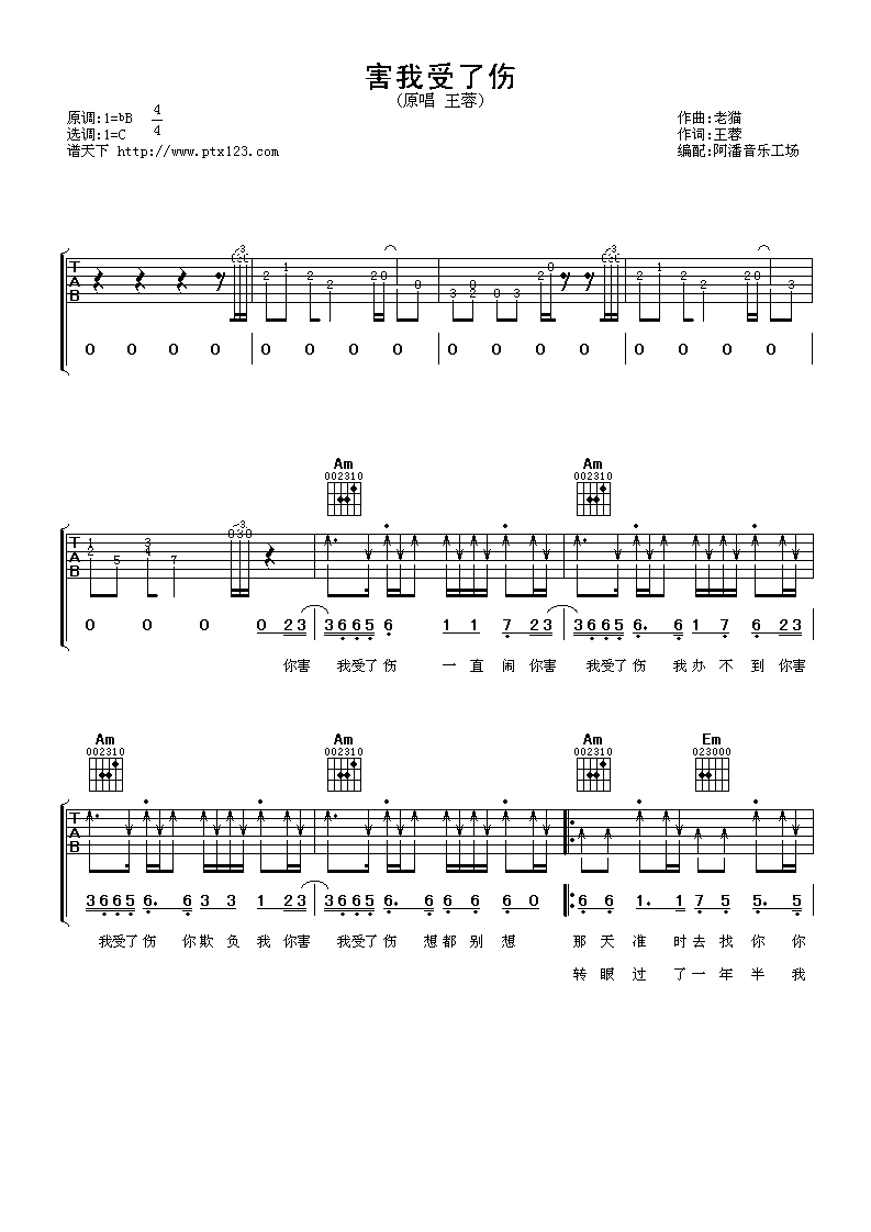 害我受伤了 吉他谱 - 第1张