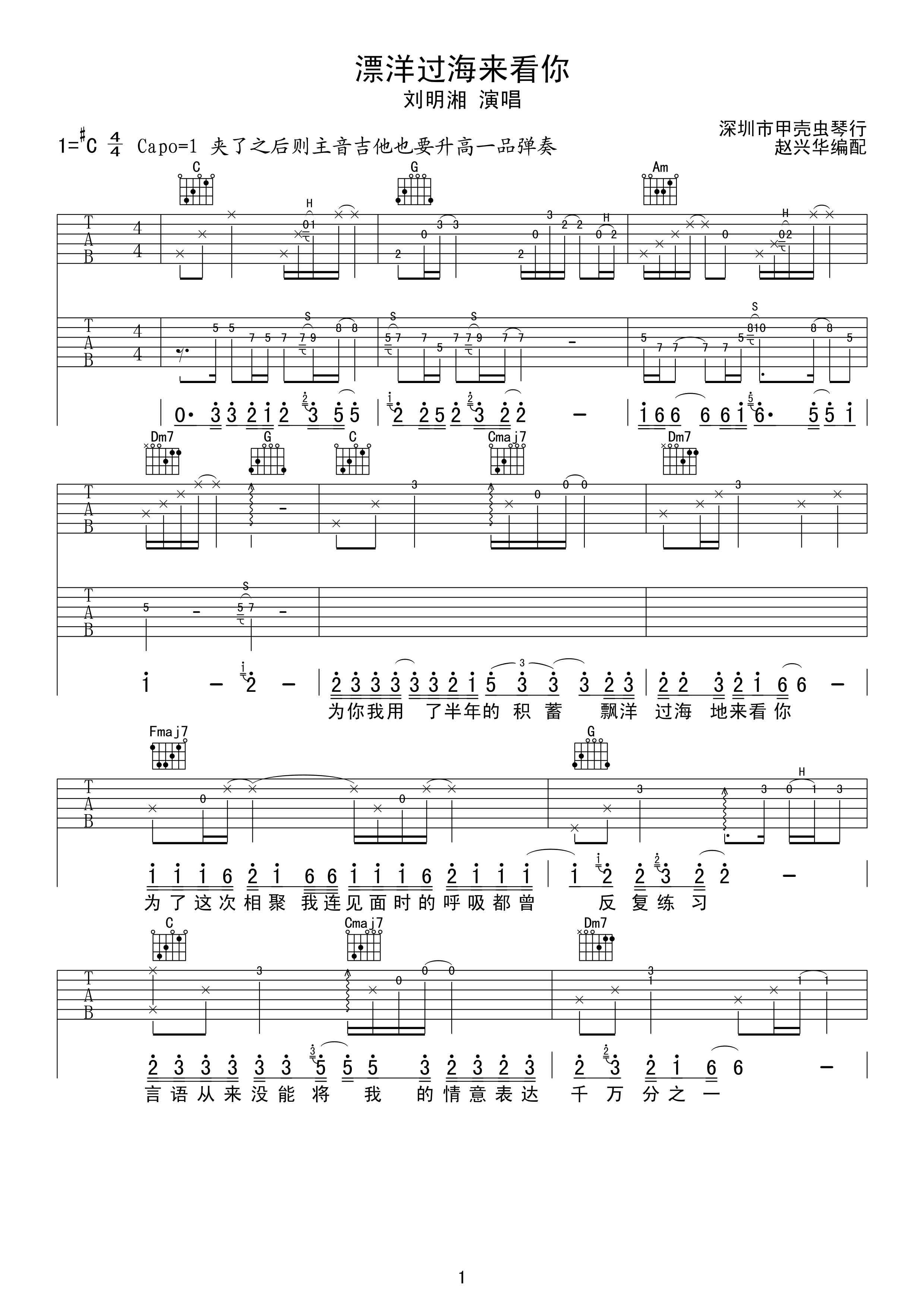 漂洋过海来看你 吉他谱 - 第1张