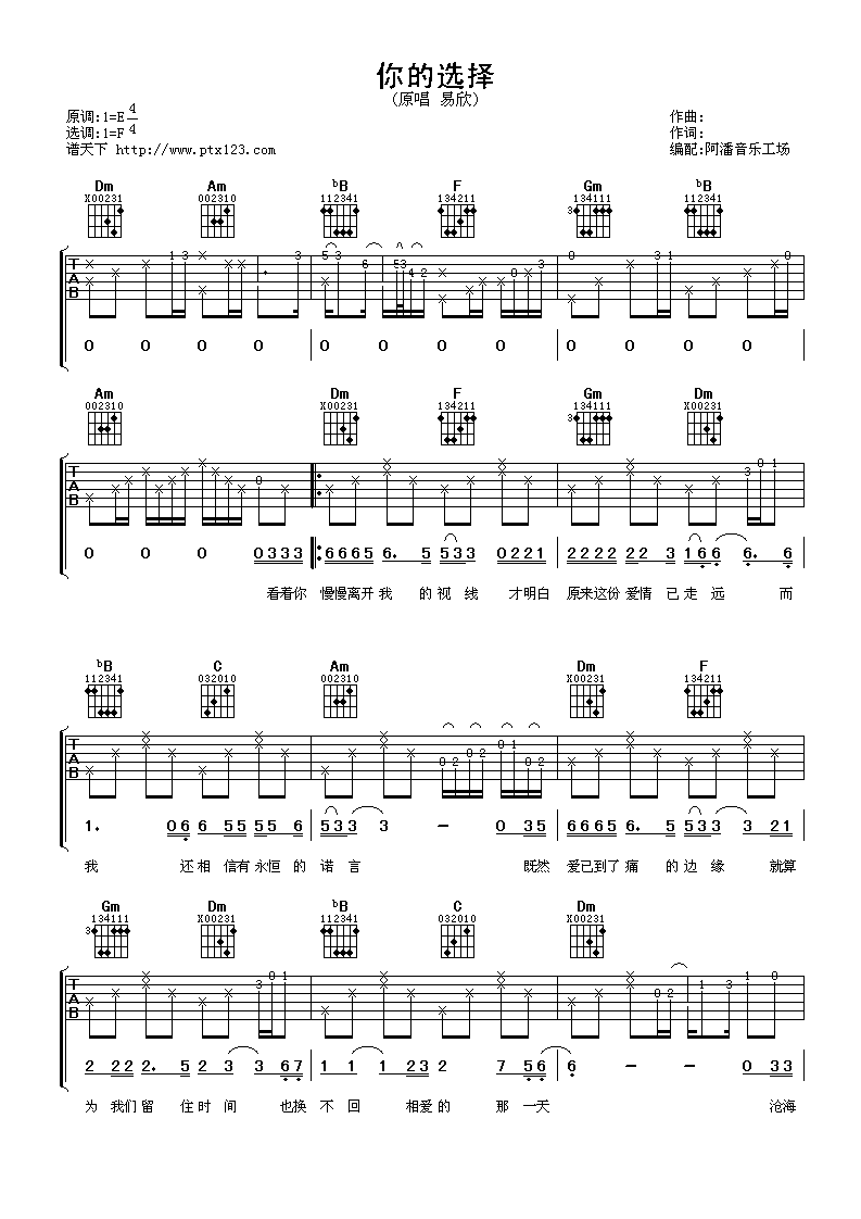 你的选择 吉他谱 - 第1张